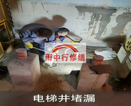 城口星雨华府电梯井堵漏案例